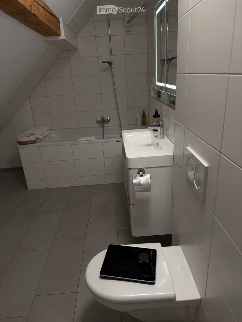 Gemütliche Dachgeschosswohnung mit Balkon (4)