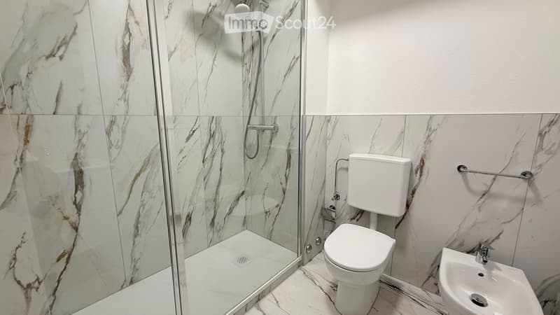 4.5 locali ristrutturato in affitto a Coldrerio (8)