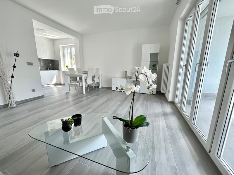 DISPONIBILE DA SETTEMBRE - 3.5 locali in affitto a Locarno (1)
