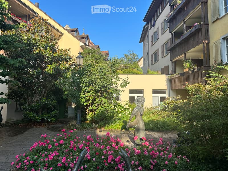 Riesige Loft-Wohnung mit Garten direkt am Rhein (3)