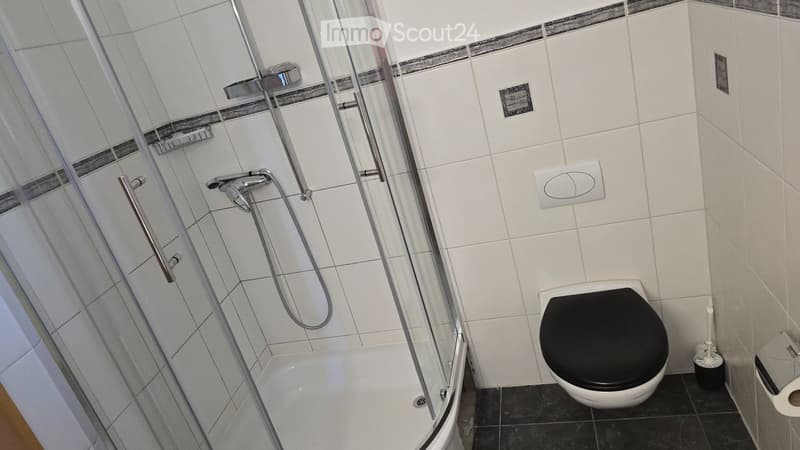 grosses möbliertes Studio mit Galerie (5)
