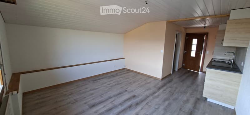 Frisch renovierte 1-Zimmer-Wohnung mit 23 m² (3)