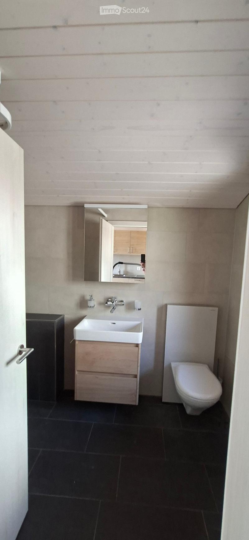 Frisch renovierte 1-Zimmer-Wohnung mit 23 m² (4)