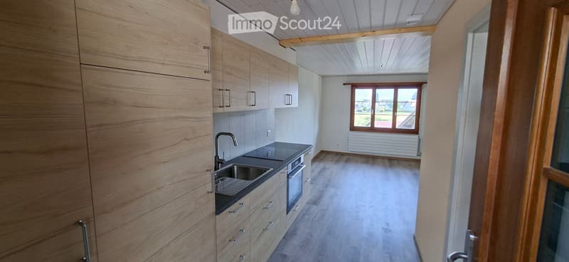 Frisch renovierte 1-Zimmer-Wohnung mit 23 m² (1)