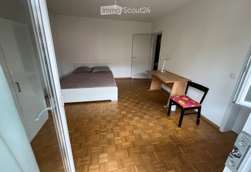 Stanza lugano con due inquilini (4)