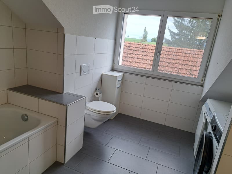 Charmante 3.5 - Zimmer - Dachwohnung (3)