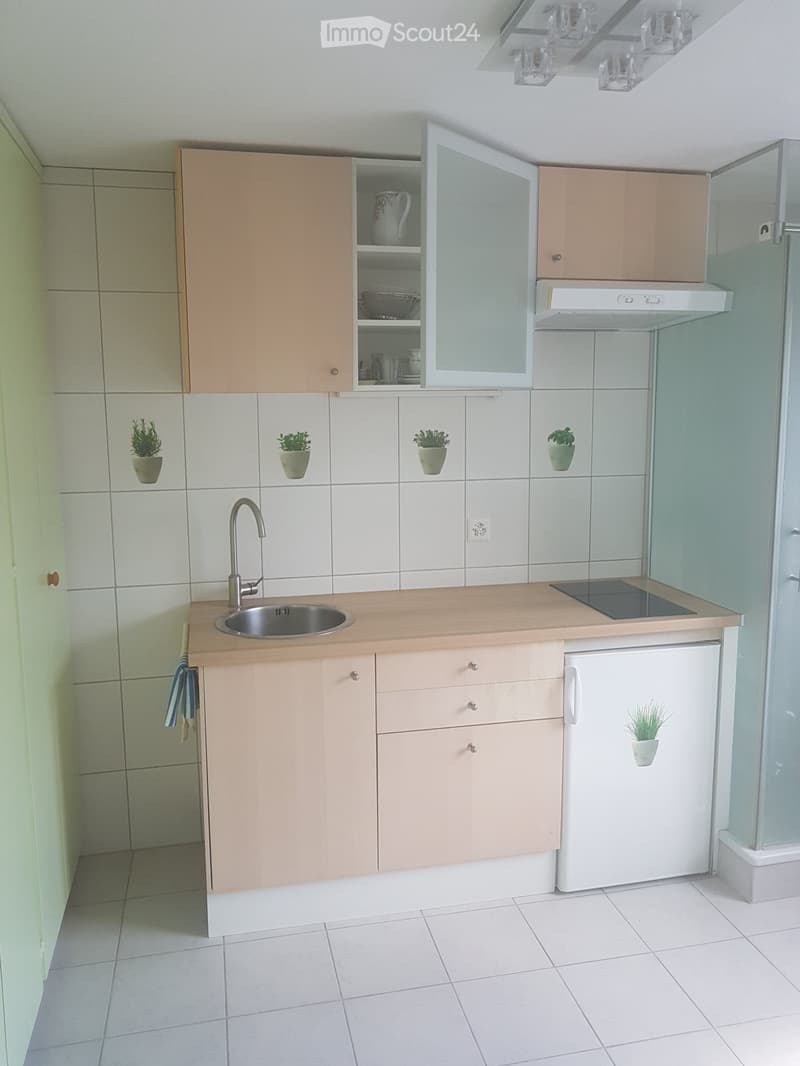 zu Vermieten Studio umgebung Thun, Gwatt (1)