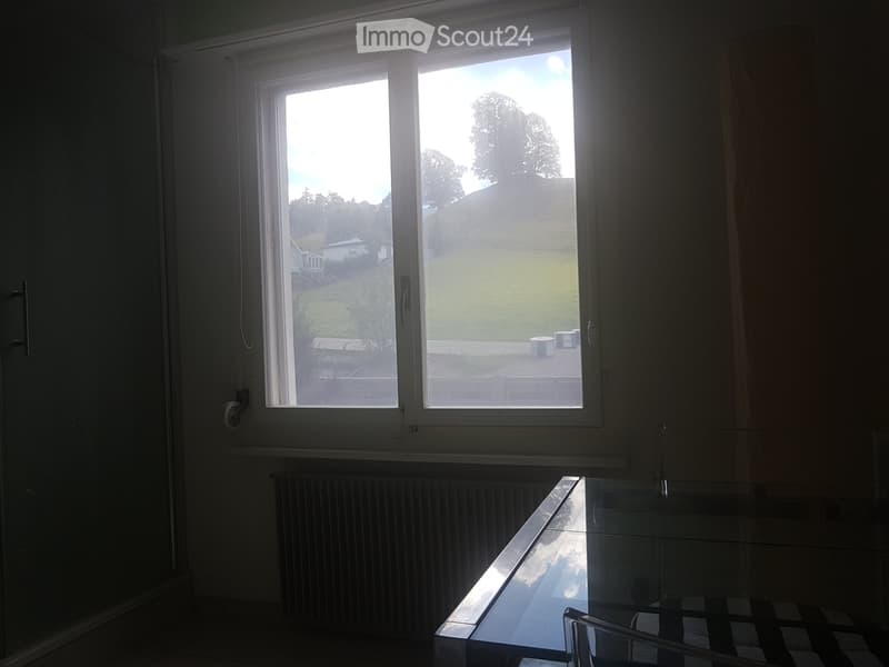 zu Vermieten Studio umgebung Thun, Gwatt (3)