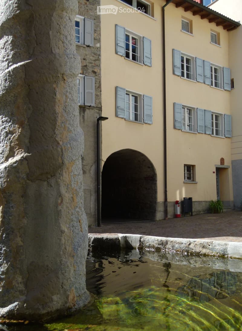 Grande e soleggiato appartamento di 3,5 locali (2)