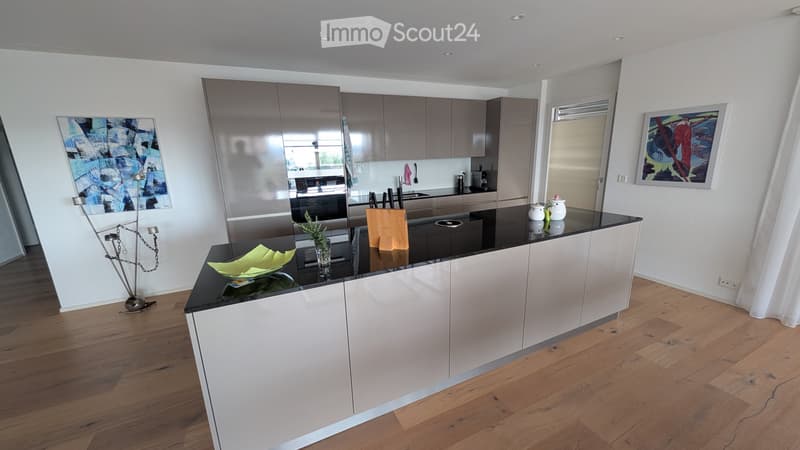 grosszügige Terrassenwohnung (3)