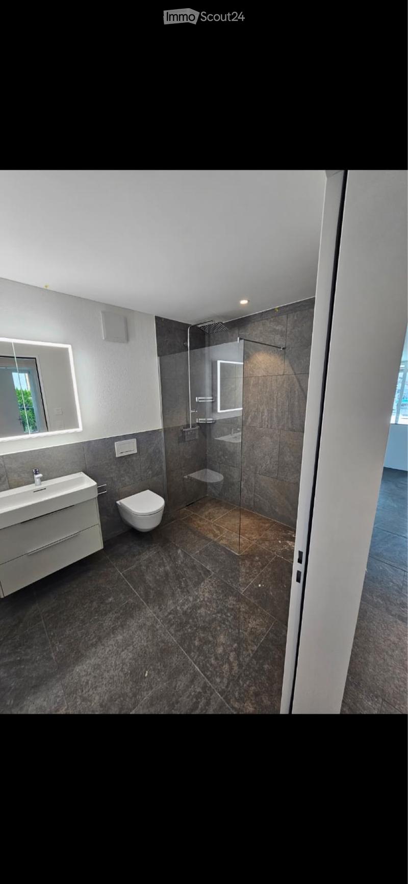 2.5 Zimmer-Wohnung im Eigentumstandard (5)
