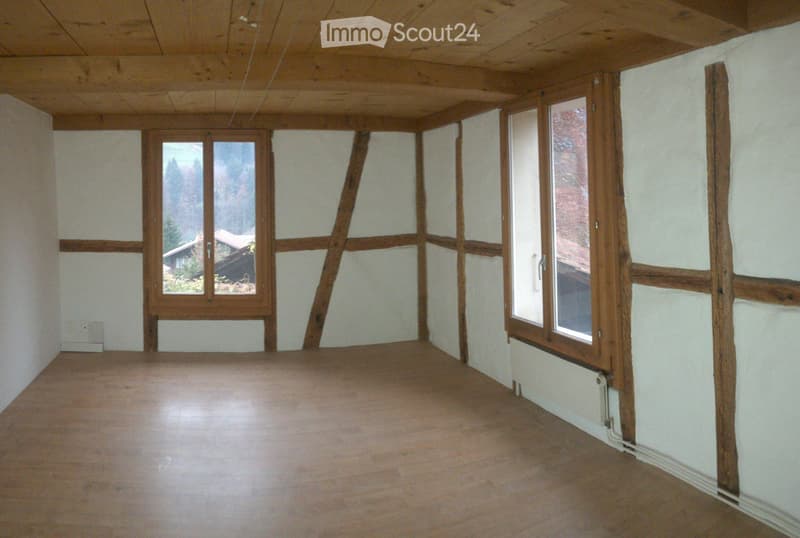 Grosszügige 3.5 - Zimmerwohnung in Erlenbach (3)