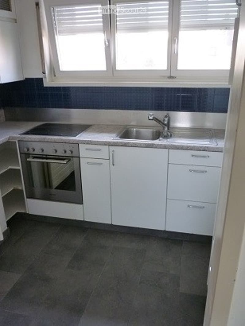 renovierte 3 Zimmer Wohnung (5)