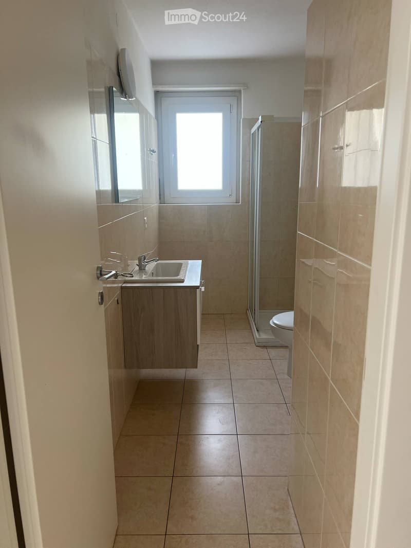 Affittasi 2.5 locali completamente ristrutturato (7)