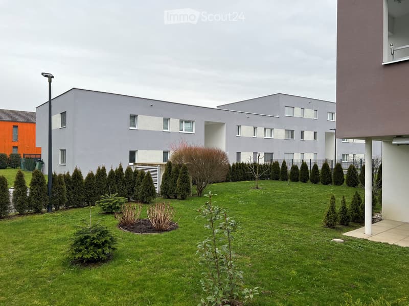 Neuwertige 2.5-Zimmerwohnung, ab sofort (2)