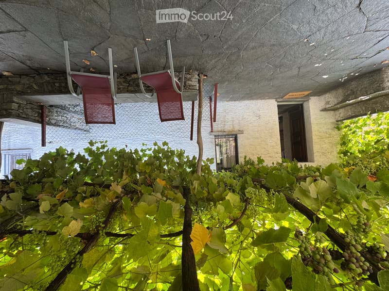 Casa ticinese completamente ammobiliata, giardino e pergola (3)