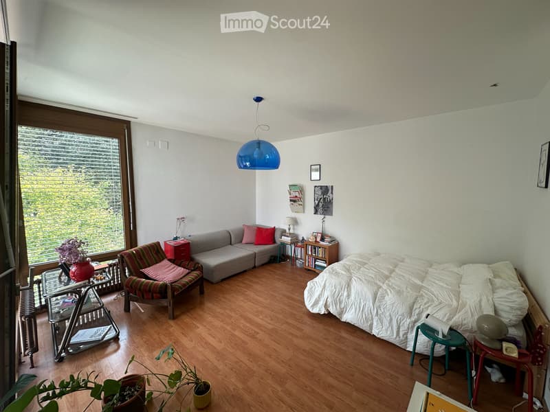 1.5 locali luminoso con balcone e vista lago (Lugano Loreto) (2)