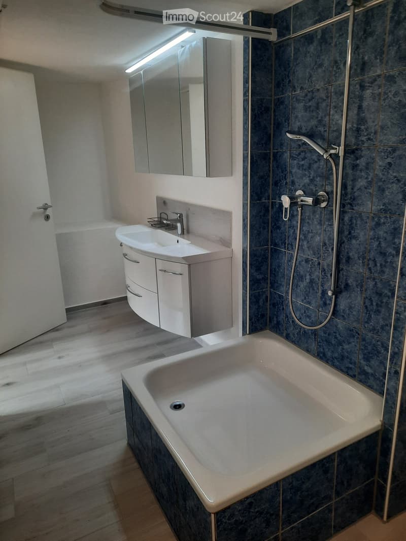 Tiny-Wohnung im Züri Oberland (4)