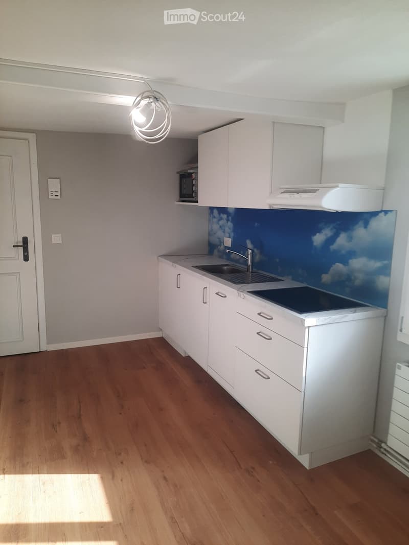 Tiny-Wohnung im Züri Oberland (2)