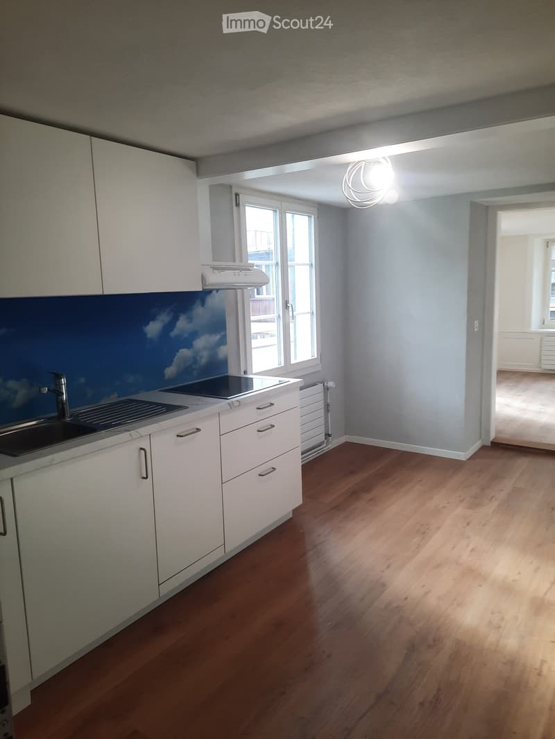 Tiny-Wohnung im Züri Oberland (1)