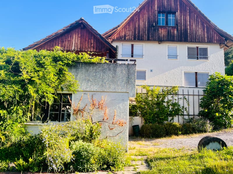Histtorisches Bauernhaus mit grossem Garten (1)