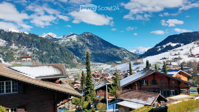 Heimelige möblierte 3½-Zimmer-Wohnung in Zweisimmen (5)