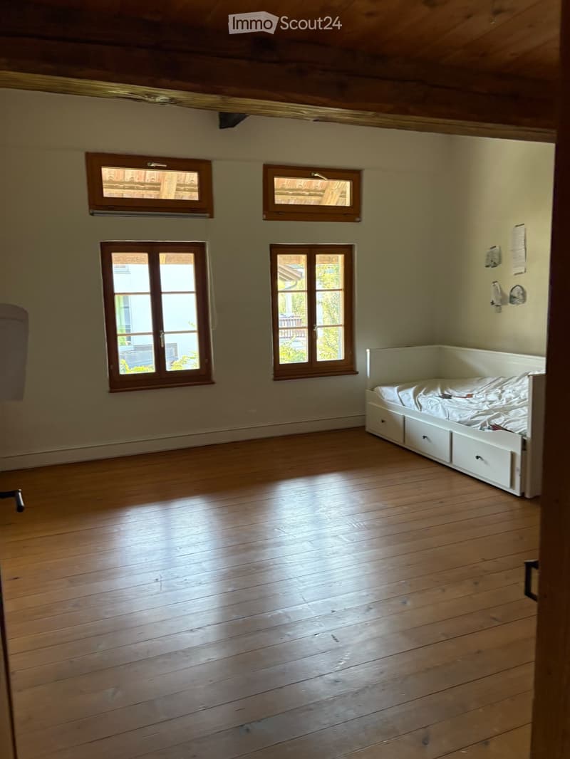 Haus in Mettmenstetten (4)