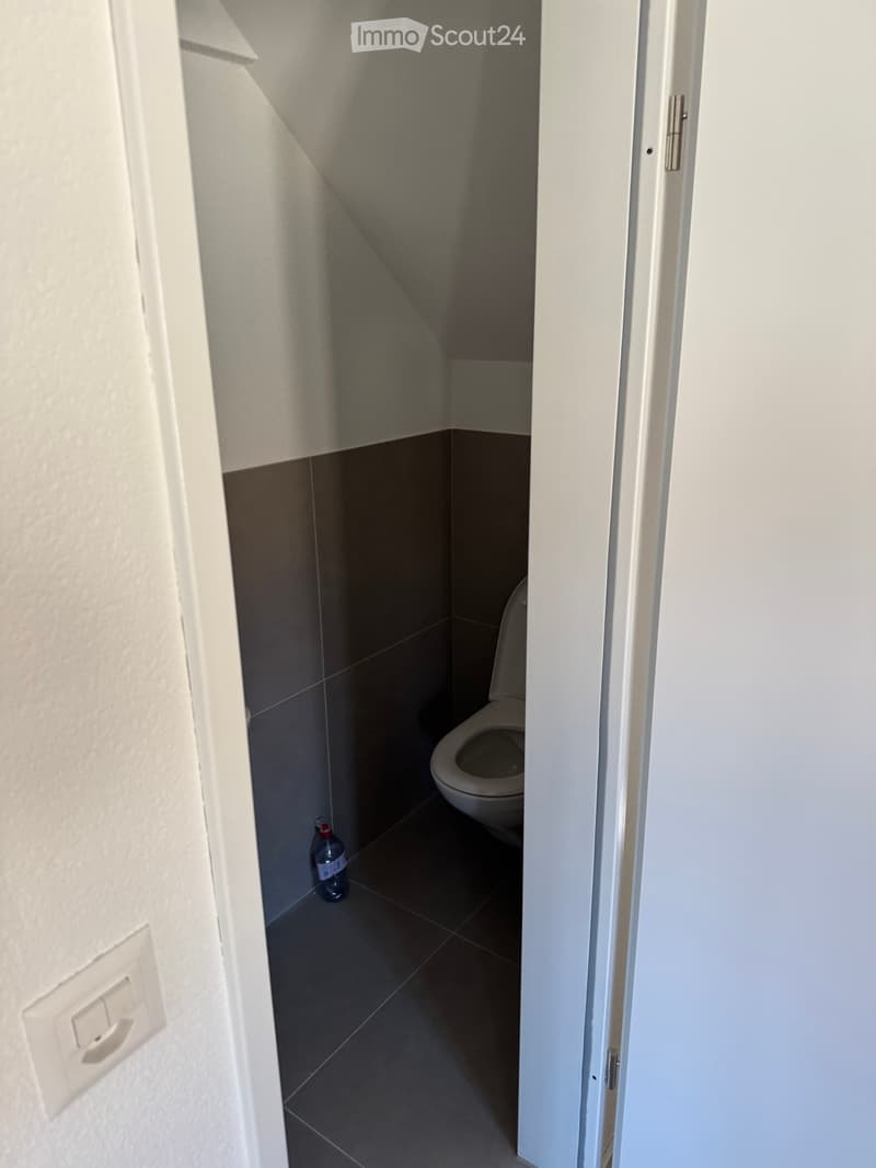 Frisch renovierte 4.5-Zimmer-Dachwohnung (3)
