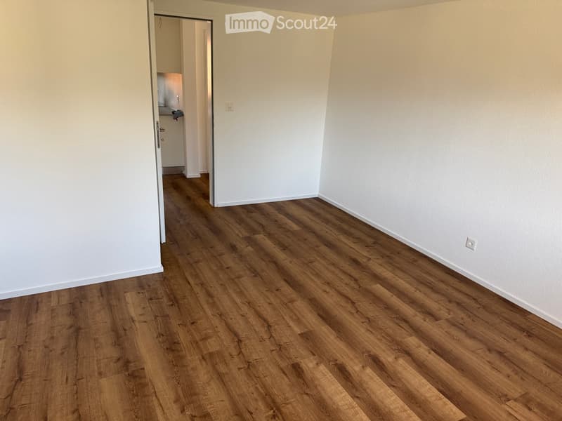 Frisch renovierte 4.5-Zimmer-Dachwohnung (4)