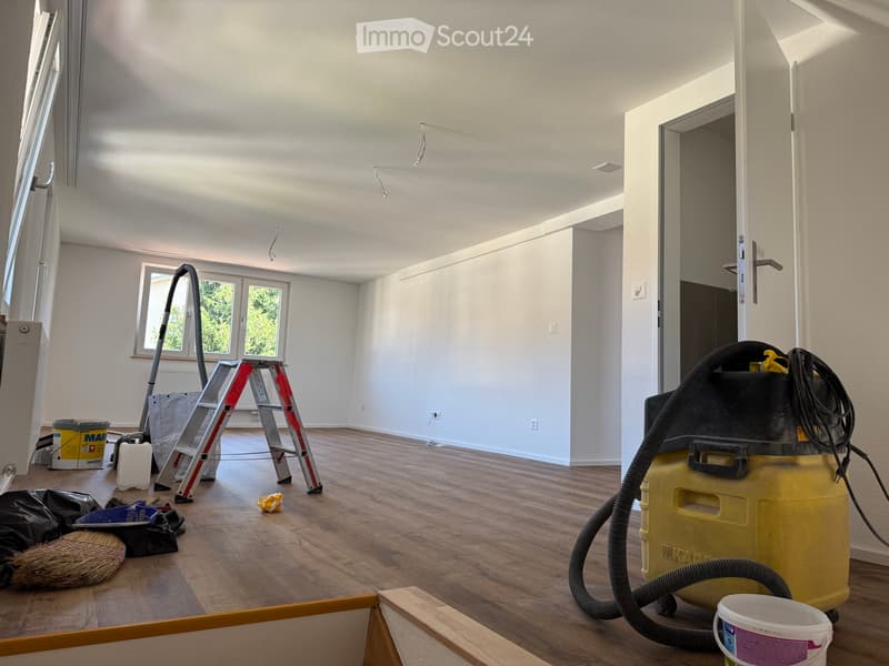 Frisch renovierte 4.5-Zimmer-Dachwohnung (2)