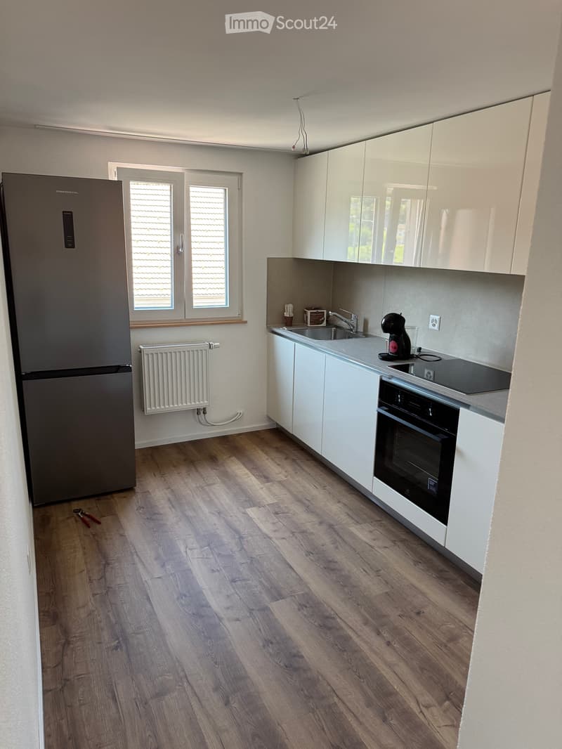 Frisch renovierte 4.5-Zimmer-Dachwohnung (5)