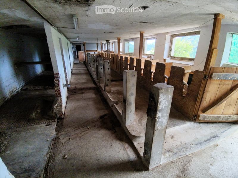 Ancienne ferme en pleine nature / Ehemaliges Bauernhaus (2)