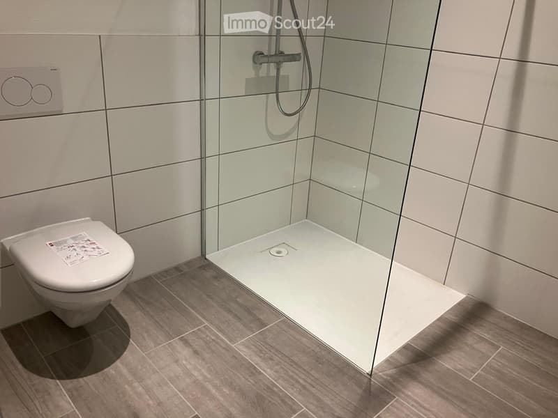 Zu vermieten schöne 3,5 Zimmer Wohnung (4)