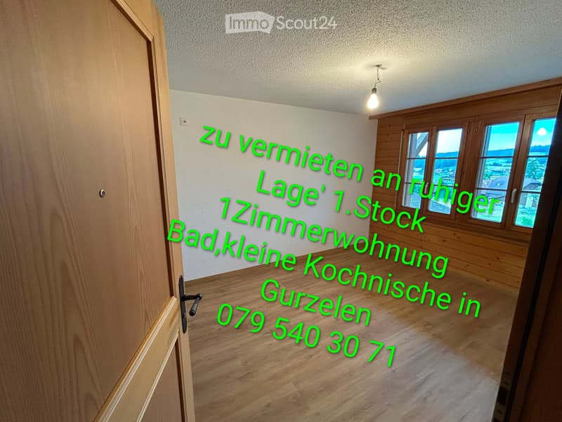 1Zimmerwohnung (1)