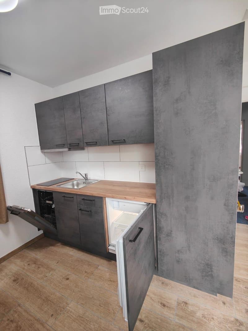 Neues, modernes Studio in an zentraler Lage in Steffisburg (3)