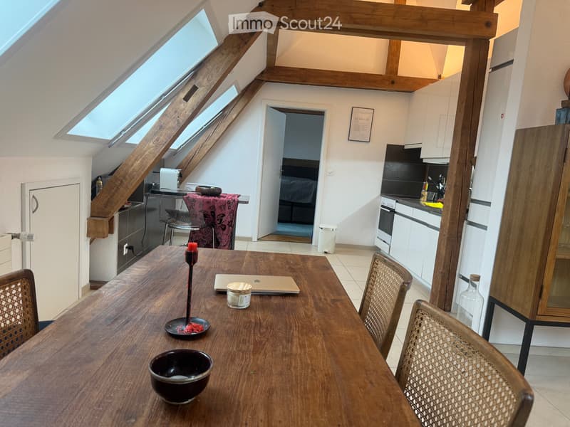 Moderne 2,5-Zimmer-Dachgeschosswohnung in Zürich-Wiedikon (1)