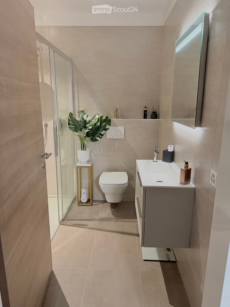 Bellissimo attico duplex 4.5 locali con grande terrazza (3)