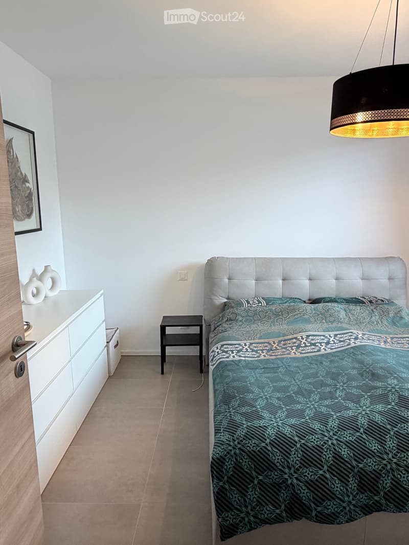 Bellissimo attico duplex 4.5 locali con grande terrazza (5)