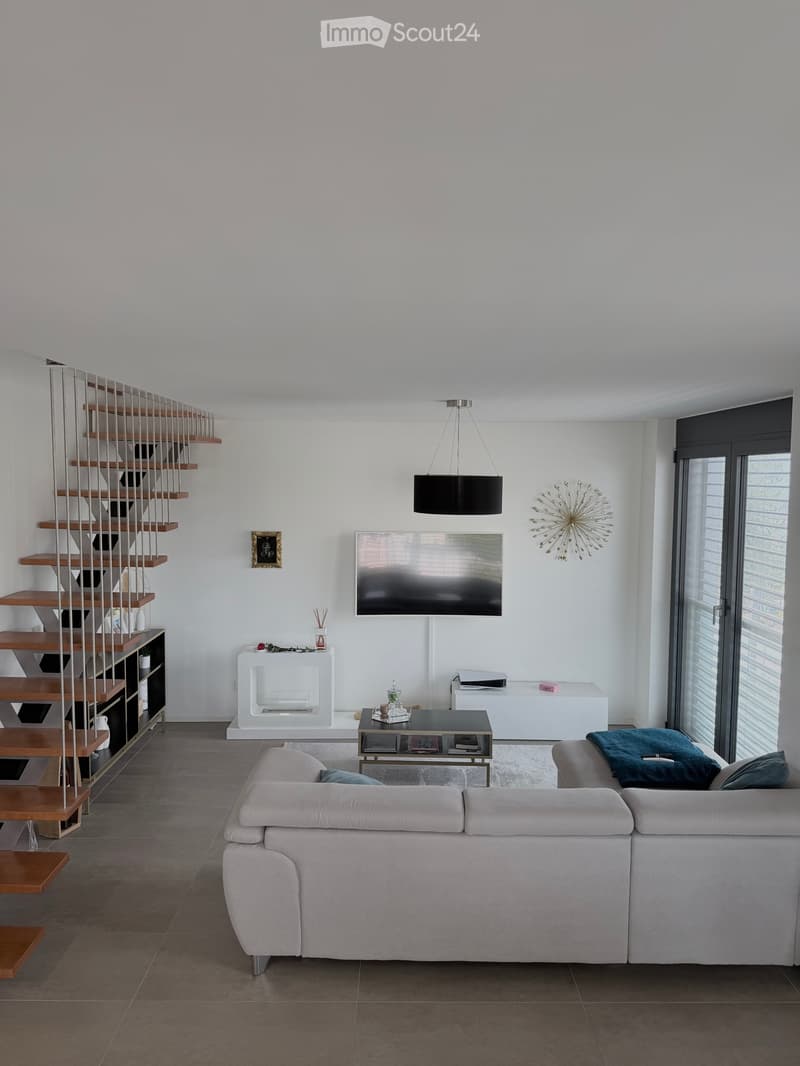 Bellissimo attico duplex 4.5 locali con grande terrazza (1)
