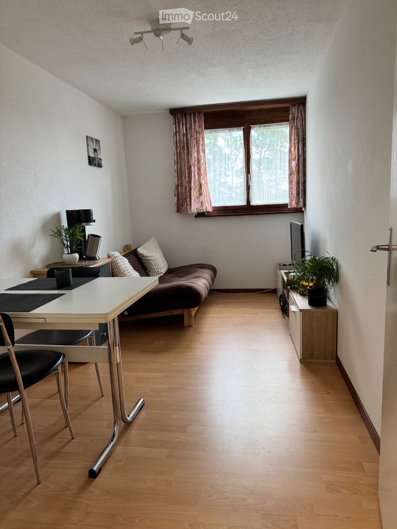 Studio im UG an ruhiger Lage im Grünen (1)