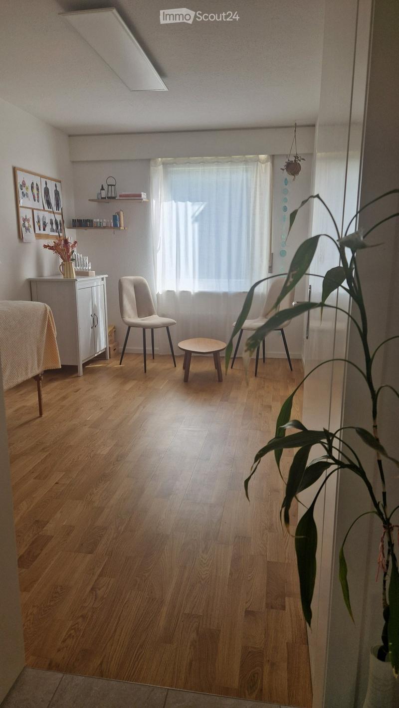 Helle 3½-Zimmer-Wohnung zur Untermiete Luzern (4)