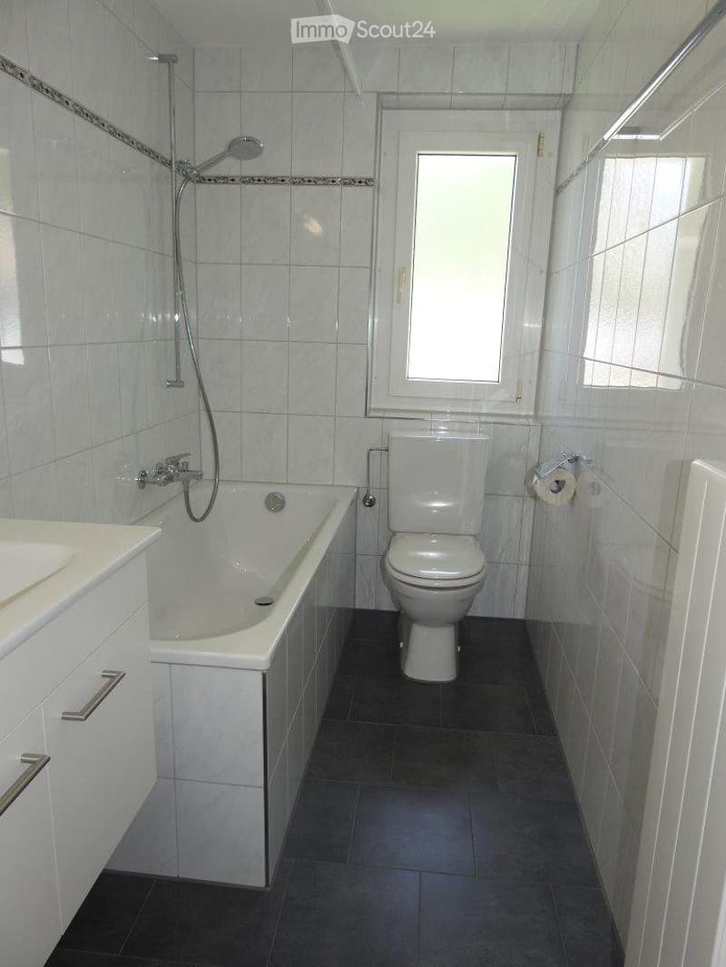 4.5 Zimmer Altwohnung (3)