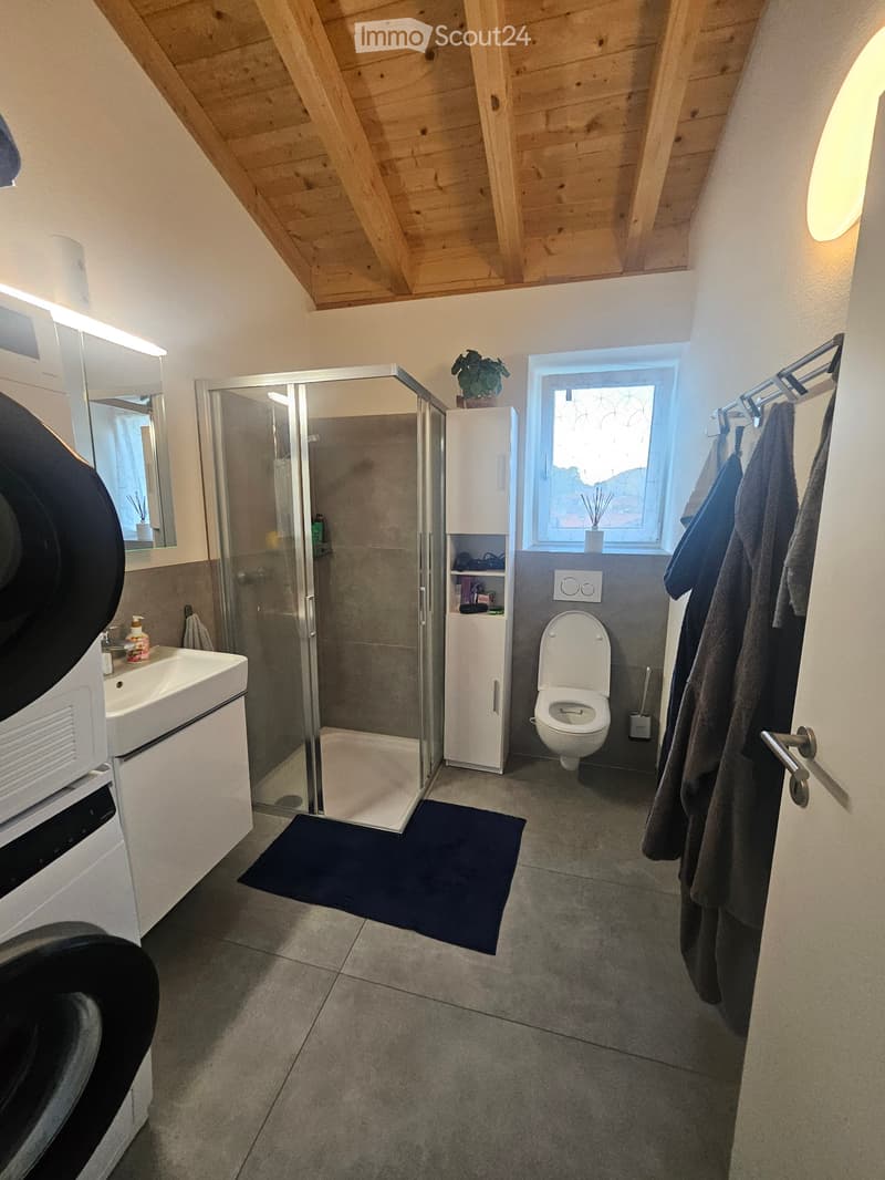 Cerco subentrante APPARTAMENTO 3.5 LOCALI  RIVA SAN VITALE (4)