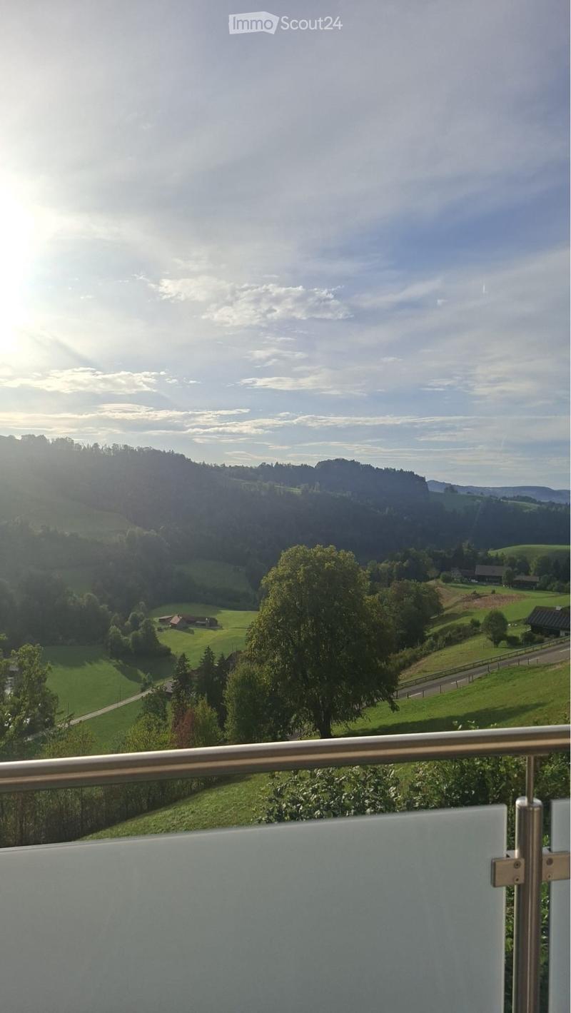 Charmante 2-Zimmer-Wohnung mit Balkon und Cheminée (4)