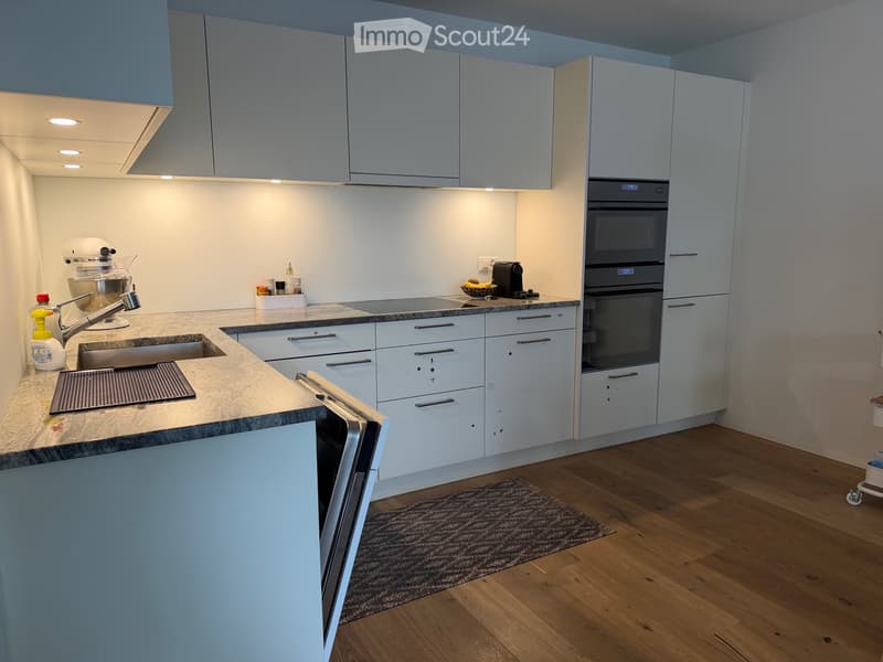 Moderne 3.5-Zimmer-Wohnung mit grosser Terasse in Reiden (2)