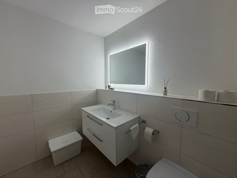 Moderne 3.5-Zimmer-Wohnung mit grosser Terasse in Reiden (3)