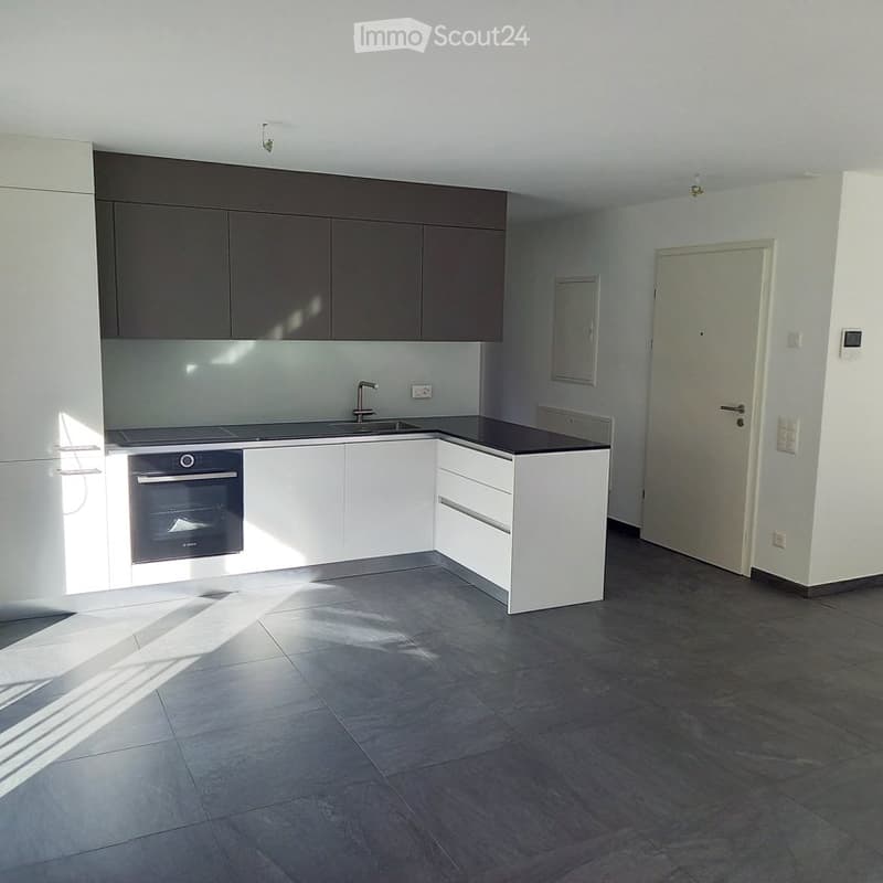 Affittasi appartamento 2.5 locali con giardino (3)