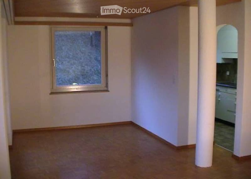 Ideale 2.5 Zimmer Single Wohnung (3)