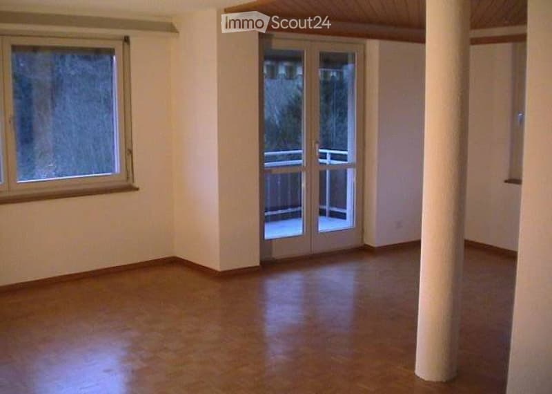 Ideale 2.5 Zimmer Single Wohnung (5)