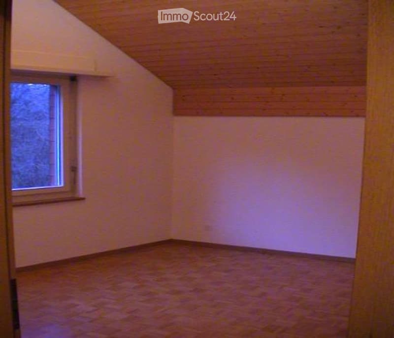 Ideale 2.5 Zimmer Single Wohnung (4)